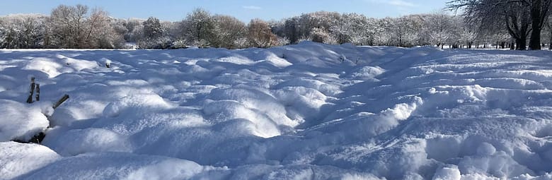 No-Haiku: Winter erfriert Gedicht: Wenn meine Liebe in deinem Herzen nistet, dann erfriert der Winter. Das Leben wird rund und vollständig, und wir sind eins.