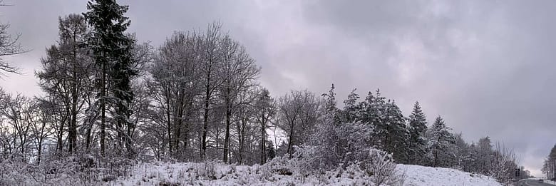 Huckepack Gedicht: Ich nehme die Liebe huckepack, die Du nicht willst und forme aus Wörtern, die Du verachtest, ein Gedicht. Mein eiskaltes Herz taut.