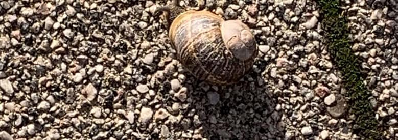 Gedicht: Schnell, so ein Auto, atemberaubend, trägt uns pfeilschnell von einem Ort zum anderen. Meistens jedenfalls. Doch viel schneller sind meine Gedanken.