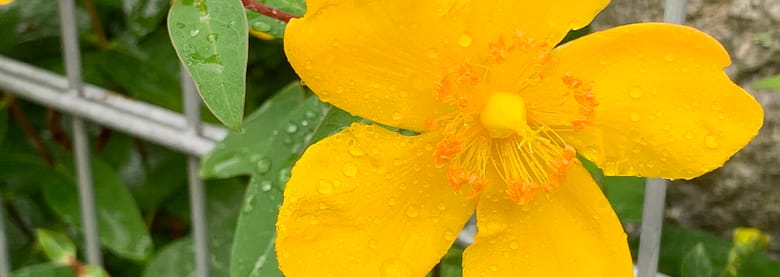 No-Haiku: Lieb doch! Gedicht: Was planen wir nicht alles im Leben. Und was passiert? Wenig, und wenn was geht, dann oft das Gegenteil oder zumindest was ganz anderes als geplant.