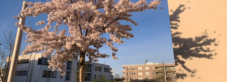 Frühling Du kommst aus dem Frühling und gehst mit der Sonne, ich komme aus dem Winter meiner Gefühle. Wir treffen uns kurz.