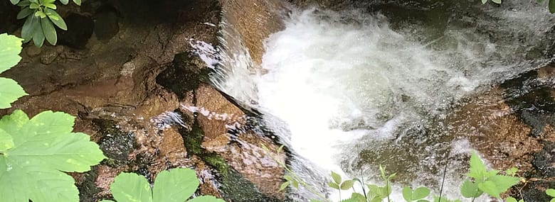 No-Haiku: Ewig Du Gedicht: Was bleibt? Der Sonnenstrahl auf dem Wasser vielleicht. Und Du ganz sicher, wenn Du so bist wie der Sonnenstrahl auf dem Wasser.