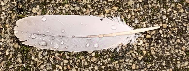 Gedicht: Die Frage ist: Wann ist der richtige Zeitpunkt, um richtig berühmt zu werden. Zu Lebzeiten? Ist anstrengend. Vielleicht doch, wenn ich tot bin?