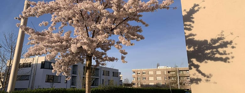 Krähenglück Ist es Glück, den schwarzen Krähen zu entkommen? Im Gedicht bestimmt. Doch jedes Glück hat eine Schattenseite: Du bist nicht da.