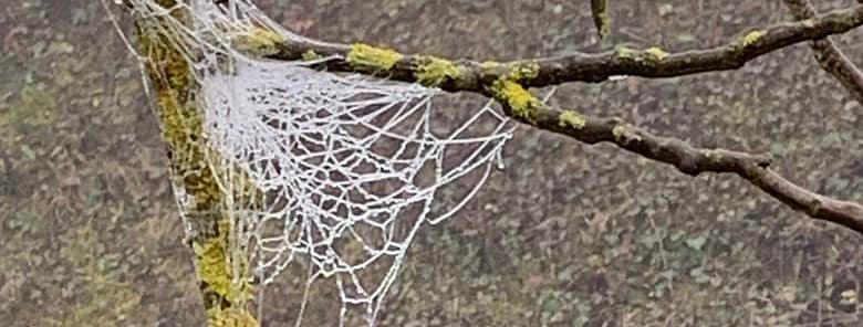 No-haiku: Gebrüll Gedicht: In der Ruhe liegt die Kraft. Bestimmt. Nur manchmal ist es mit der Ruhe vorbei, wenn man auf einen einst geliebten Menschen trifft.