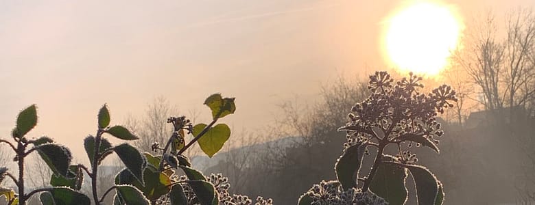 No-Haiku: Eisige Nacht Gedicht: Manchmal scheint das Leben groß, wir fliegen auf den Schwingen der Liebe. Doch der andere zieht sich jäh zurück, lässt uns stürzen. Vorbei.