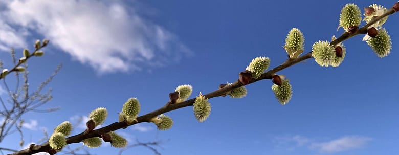 Lidschlag Gedicht: Deine Aufmerksamkeit kommt und geht, deine Heiterkeit besucht mich, und ich sehr plötzlich das Glück lächeln. Doch deine Liebe bleibt weg.