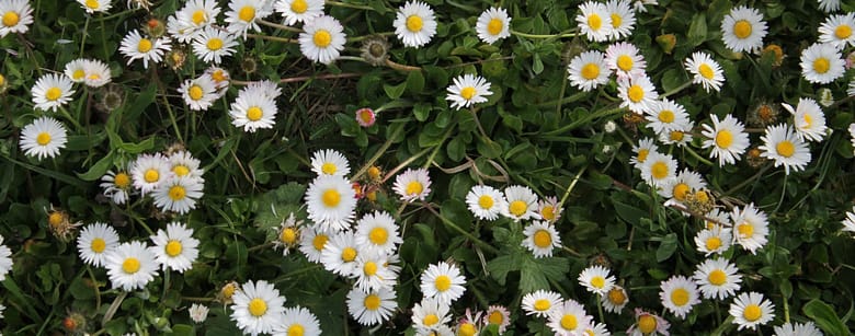 Die Liebe finden wir an vielerlei Orten, am liebsten aber im eigenen Herzen. Dort soll sie einziehen und dort gehört sie hin. Das ist ein kleiner Gottesdienst.