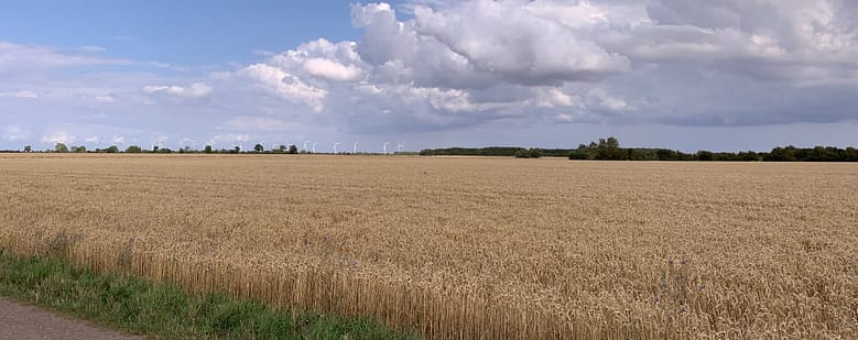 Gedicht: Überraschungen sind manchmal angenehm, manchmal auch weniger schön. Etwa der Geruch des Herbstes im reifen Kornfeld im Sommer.