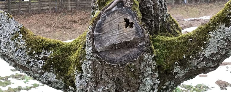 Halte mich fest Gedicht: Du kannst erzählen, was Du willst. Du kannst mir von Liebe schwärmen und deinen Gefühlen zu mir. Ich warte ab. Wie die Spinne in ihrem Netz.