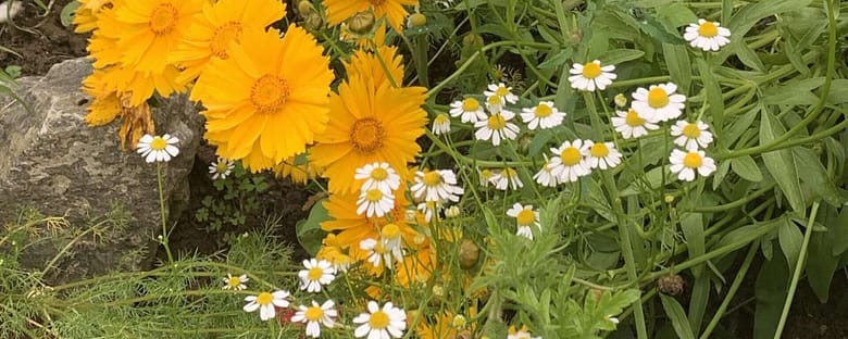 Leichte Wärme Gedicht: Liebe, sagt der alte Mann, ist nur eine Illusion. Oder eine Fehlschaltung im Gehirn. Liebe ist mehr, erwidere ich, Liebe schmerzt, wenn sie fehlt.