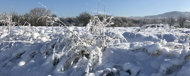 Remember Paradise Tanzende Ballerinen sind schön. Aber auch solche aus Schnee, am Ende der Welt. Hier zu sein fällt bei aller Schönheit des Schnees schwer.