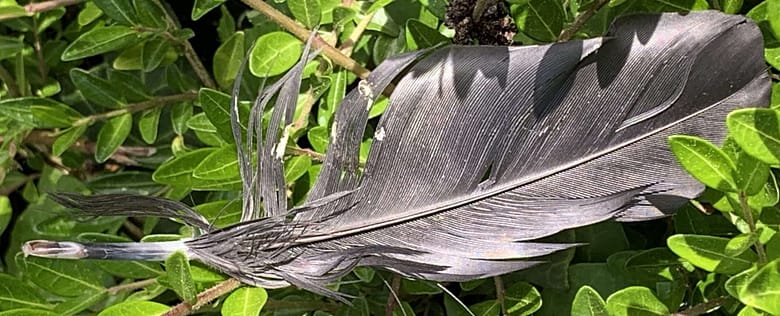 Gedicht: Alls schwarz? Oder noch schwärzer? Das Leben ist leer und sinnlos, Angst überall? Durchschreite den Nebel, küsse den Himmel, er rettet Dich.