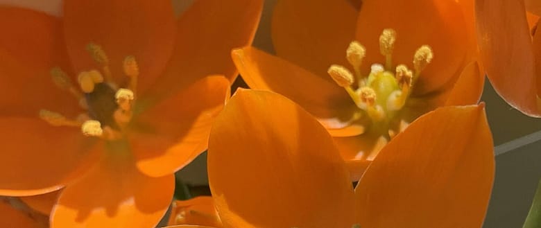 Gedicht: Du hälst die Liebe nicht fest. Lade sie statt dessen ein, weite Dein Herz, umarme sie, dann wird sie bleiben. Und Du vollendest sie, wenn auch Du bleibst.