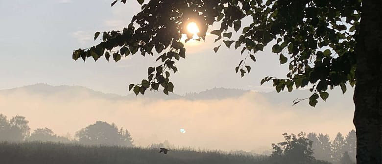 Manche Liebe lässt einem der Sonne zu nahe kommen. Die Träume vergehen darin, die Liebe wird zunehmend gefährlich.