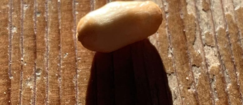 Gedicht: Tief in den Schlaf versunken, erkenne ich die Weite von Kontinenten und die Enge eines Mäuselochs. Erinnerungen und Möglichkeiten umtanzen mich.