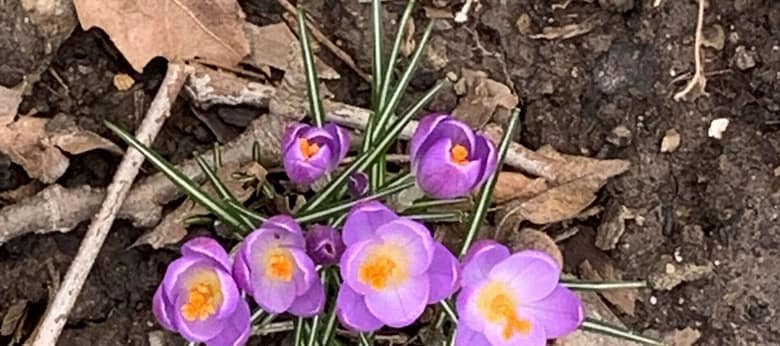 Ist Liebe mehr als der Gleichklang der Herzen? Wie es scheint, sieht RoBa in diesem Gedicht mehr Möglichkeiten als sich bewahrheiten.