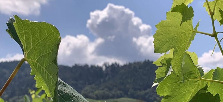 Time waits for me Das Leben ist klein und grau. Na und? Und doch ist es verrückt. Running under the mood of madness. So sind wir unterwegs Richtung Greisentum.