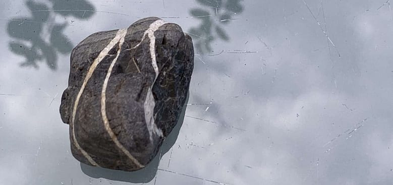 No-Haiku: Schlange Gedicht: Wenn Du verdammt bist, zu leben, ist das keine schöne Sache. Du magst die Welt nicht, sie erscheint Dir eine Schlange zu sein. Hast Du eine Wahl?