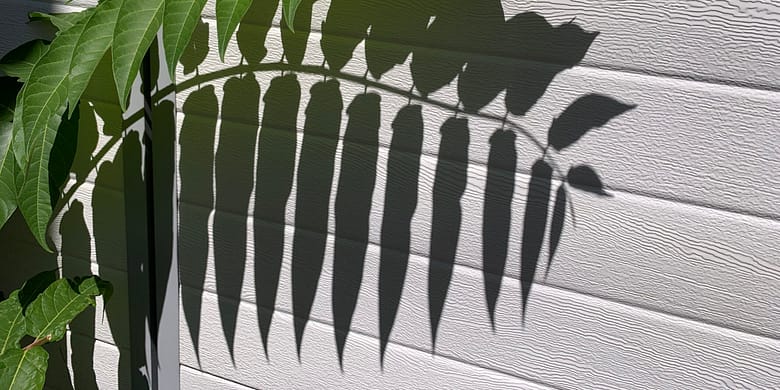 Glaub’ das nicht Erinnerungen können schmerzen, vor allem an eine Geliebte, die vor Jahren aus meinem Leben verschwand. Und nun ist sie tot.