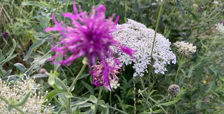 Rezension: Fantasy von ihrer besten Seite: Kerstin Surra, Katharina Ende, Amora, Die verlorene Stadt zeigt uns ein spannendes Abenteuer mit sympathischen Figuren.