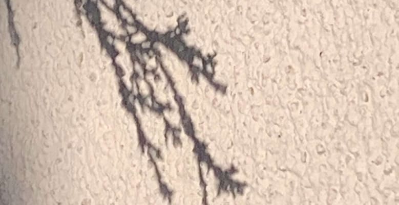 No-Haiku: Öde & Herz Gedicht: Hilft das Herz? Wenn wir uns öde und ausgebrannt fühlen? Ja. Wir sollten auf unser Herz hören, nachspüren, was es uns sagen will.