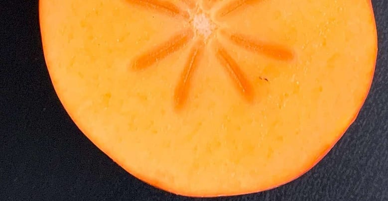 Lasst Dicke um mich sein, dicke Frauen sind eine Sensation. Sie wärmen, sie geben Geborgenheit. Und wenn sie lachen, bebt die Welt.