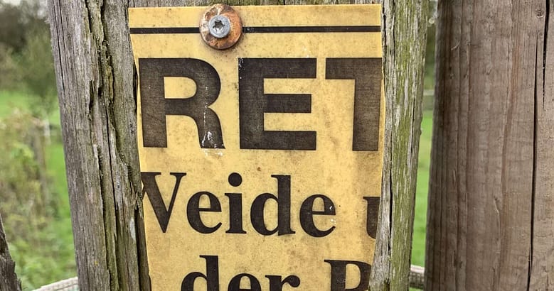 no-Haiku: Verschoben Gedicht: Du kannst Dein Leben genießen. Oder Du verschiebst es immer und immer wieder. Aber sei gewiss: Irgendwann kommt der Winter.