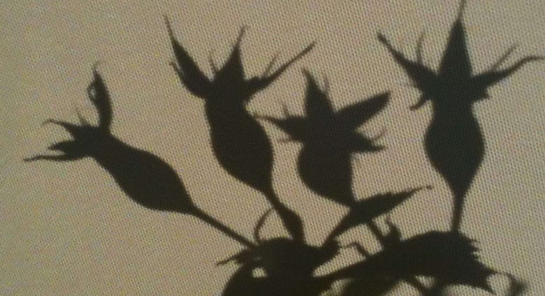 Supergirl Manche Menschen strahlen, haben Farbe und eine starke Aura. Trotz ihrer harten Vergangenheit. Mir bleiben nur Schatten.