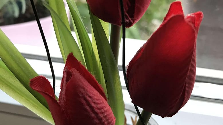 Gedicht: Kalter Regen ist lästig und kann einem die Laune verderben. Doch wenn du plötzlich Blumen siehst, im Regen, etwa das tiefe Rot der Tulpen, ändert sich alles.