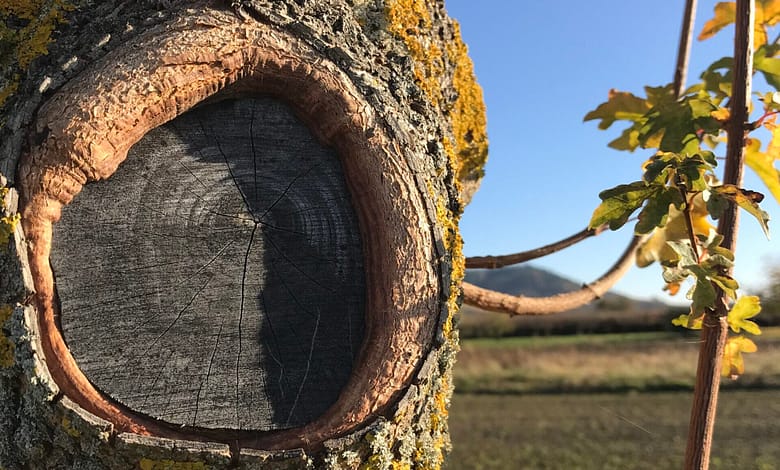 Wenn die Liebe Löcher bekommen hat wie ein alter Sack, ist das Ende nicht mehr fern. Da hilft keine Langmut, das Geplapper ist stärker.