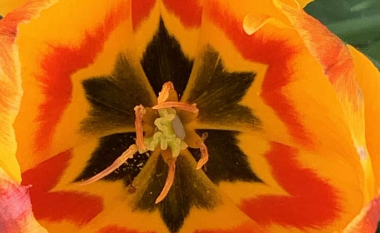 Mein Leben Wenn Deine Seele ebenso in Trümmern liegt wie dein Leben, kannst Du weinen. Und fluchen. Oder Du liebst Dich dafür, denn Du bist erwählt.