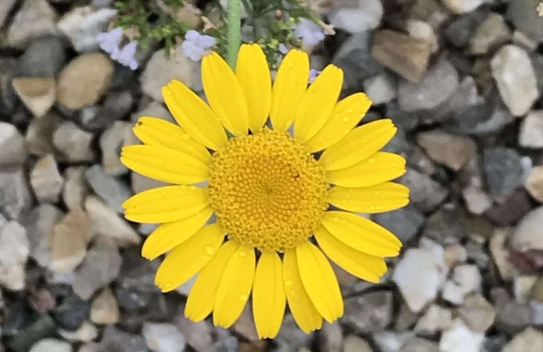Gedicht: Der Schlaf lässt Dich in einem vertrauten, fremden Land wandern. Du siehst Vertrautes, Fremdes und lebst Dein wahres Leben. Du bist dann ein anderer Mensch.