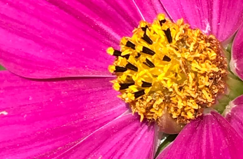 Mönchisches Leben Manchmal ist ein Ende auch gut. Beuge dich nicht der Eitelkeit der Schwätzer, verlasse Frauen, die sich nur selbst bespiegeln. Das Leben bietet so viel mehr.