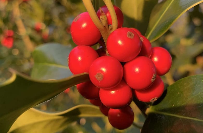 Gedicht: Ist nach 35 Jahren, heimlich, die Liebe noch da? Müsste da nicht mehr passieren, um sie wieder zu entfachen? Als eine nichtssagende Mail...