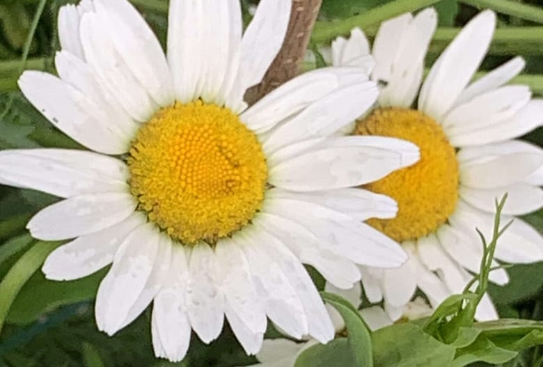 Gedicht: Lost a lot, even almost everything. But the most bitter thing: I lost you in the battle of love. And I've chosen away GOD in the madness of my laughter.