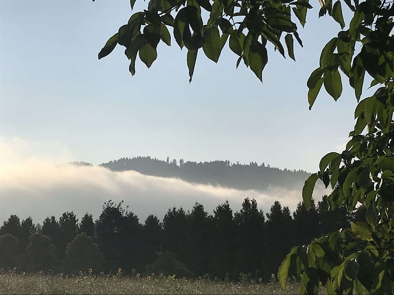 No-Haiku: Du in mir Du in mir. Roba fühlt sich leer und öd, aber dann entdeckt der Dichter etwas in sich, das ihn aus dem Konzept bringt und das ihn hoffen lässt.
