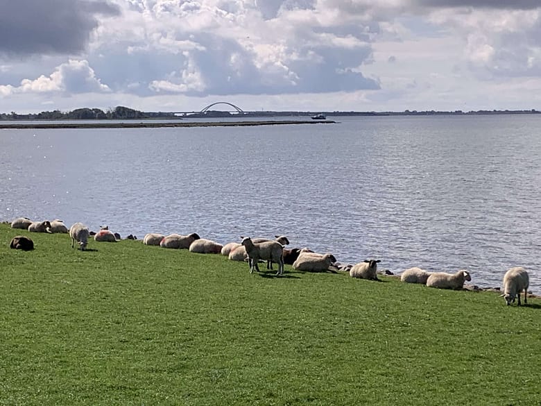 Lay your love on me: Mit Gott ist es eine verzwickte Sache. Du musst ihn lieben, aber er macht es Dir nicht leicht. Seine Welt ist gründlich aus den Angeln geraten.