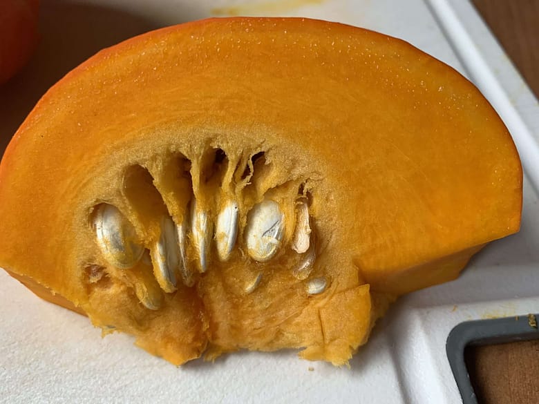 Der Sommer geht nicht gerne, verhakt sich im Herbst. Trotz der Erntezeit bleiben die Scheuer leer, die Schützengräben sind blutig.