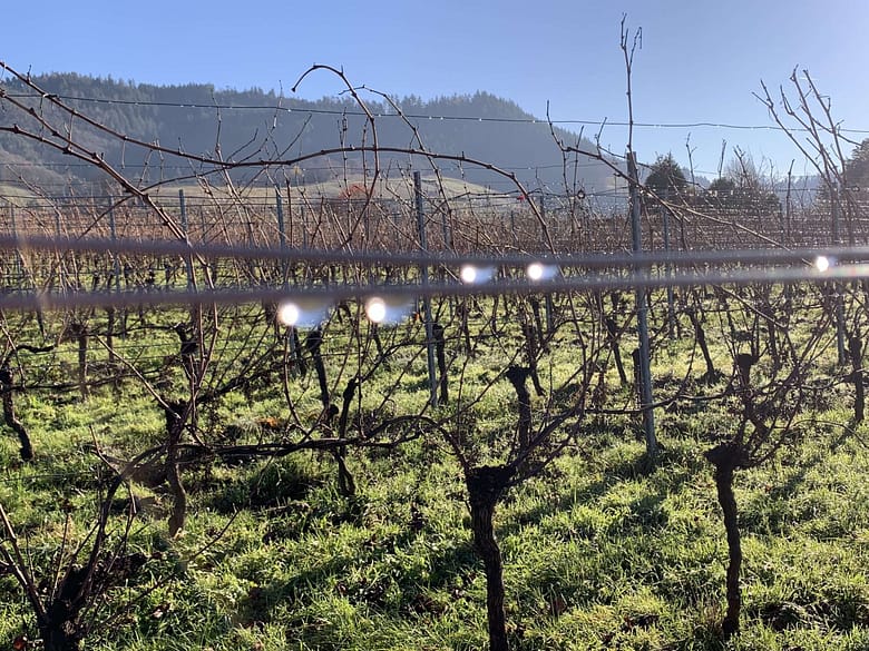 Soft Goodbye Manche Sätze lassen uns stürzen. Mit viel Glück fallen wir vom Seil hoch droben auf eine weiche Matte.