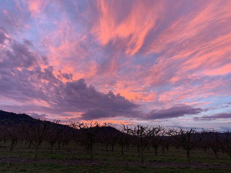 Steh hier Das wilde Spiel der Kinder, das geduldige Sterben der Alten, beides mit einem Blick erfasst. Beides zusammen macht das Leben erträglich.