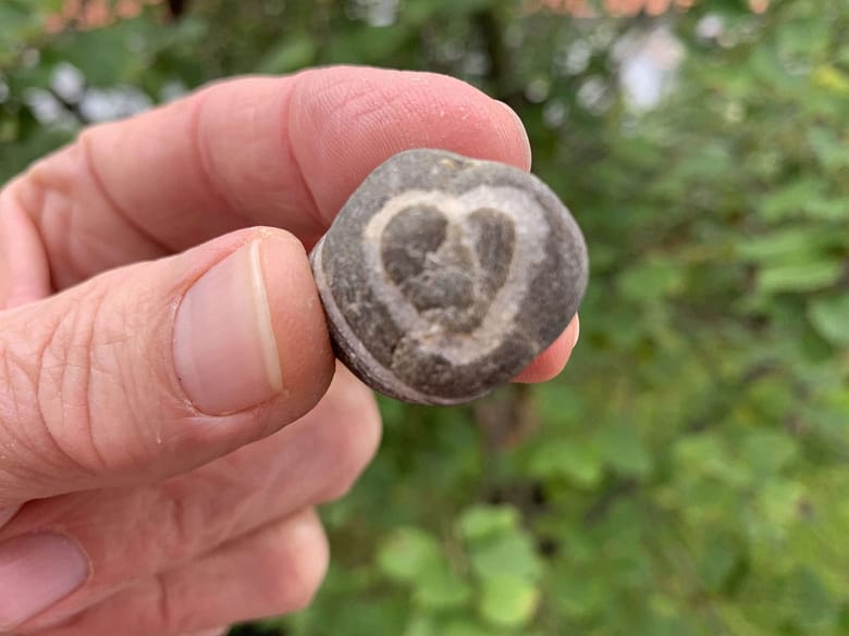 Brosamen: Auf der Jagd nach einem Krümel Liebe. Das Brot schmeckt grau. Und doch bleibt er Traum vom prallen Glück lebendig.