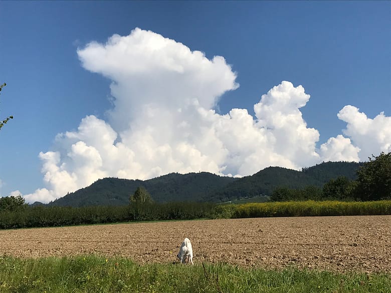 Skandal Wie sich ein Skandal doch wandelt. Der blaue Himmel etwa, Synonym einer Empörung aus Nichts heraus. Das hat sich geändert.