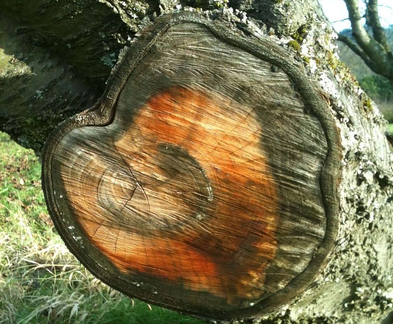 No-Haiku: Lüstern No-Haiku: Und seien sie noch so voller Liebe und Lust, Träume gehen ihren eigenen Weg. Wir halten sie nicht fest, auch ihre Traumbilder nicht.