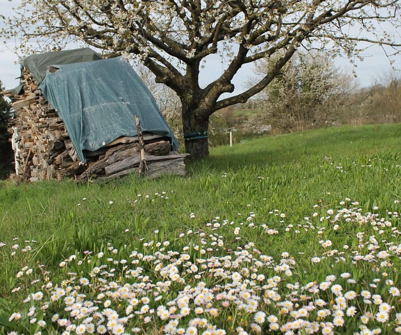 Manchmal hilft Sanftmut gegen den wütenden Schmerz des Verlassenwerdens. Die große Liebe stirbt und ist nur ein böser Schatten.