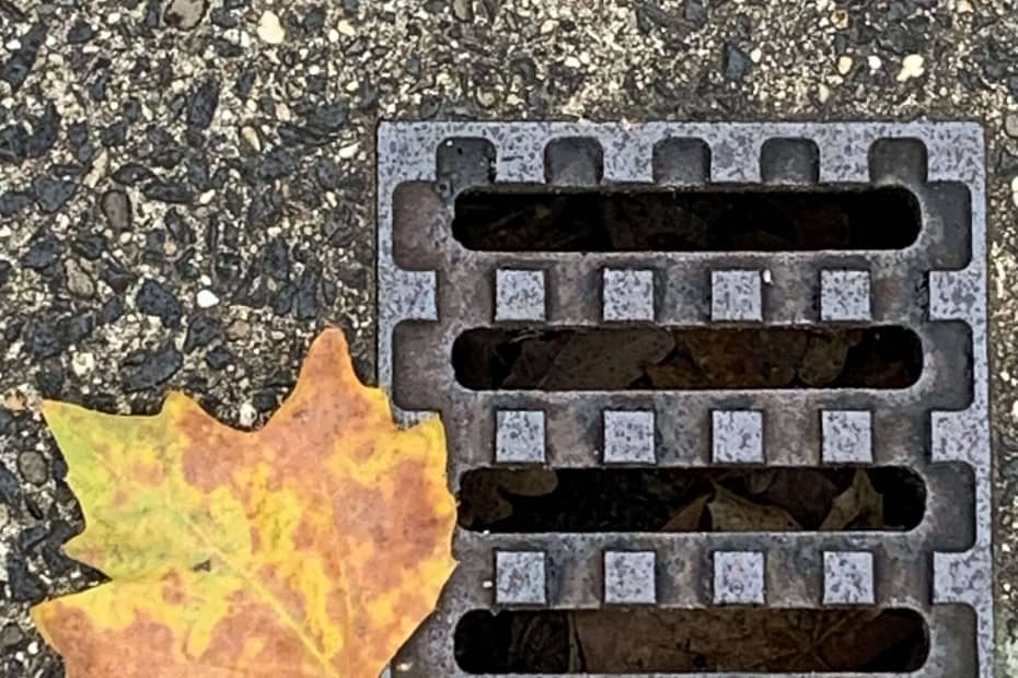 Wenn alles bröckelt, was können wir vom Herbst erwarten? Die Sonne ist da, aber sie beleuchtet wenig Appetitliches. Was also bringt der Hebst?