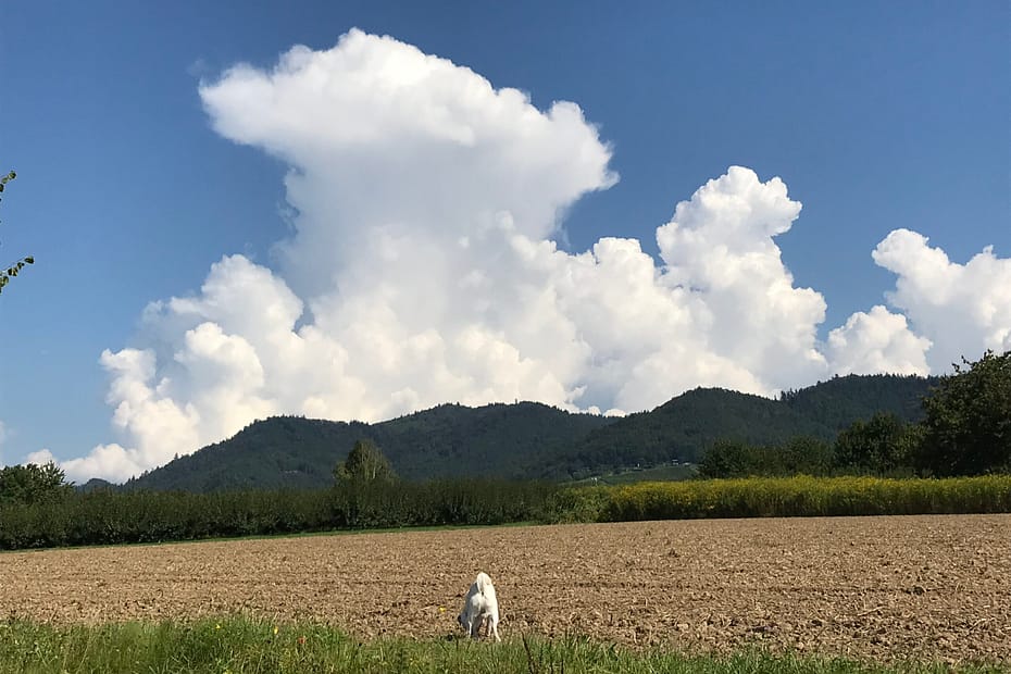 Wie sich ein Skandal doch wandelt. Der blaue Himmel etwa, Synonym einer Empörung aus Nichts heraus. Das hat sich geändert.
