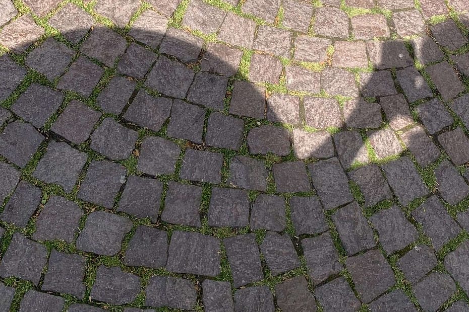 Wen verlassen wir als nächstes? Echte Geliebte oder nur virtuelle? Und waren in Zeiten der Seuche die wirklichen Geliebten nicht auch nur virtuell?