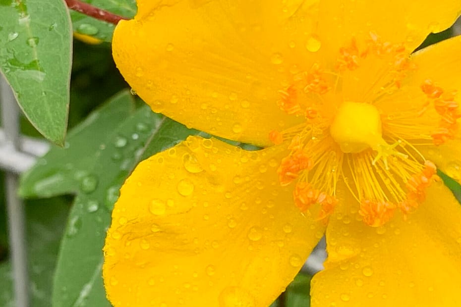 Gedicht: Was planen wir nicht alles im Leben. Und was passiert? Wenig, und wenn was geht, dann oft das Gegenteil oder zumindest was ganz anderes als geplant.