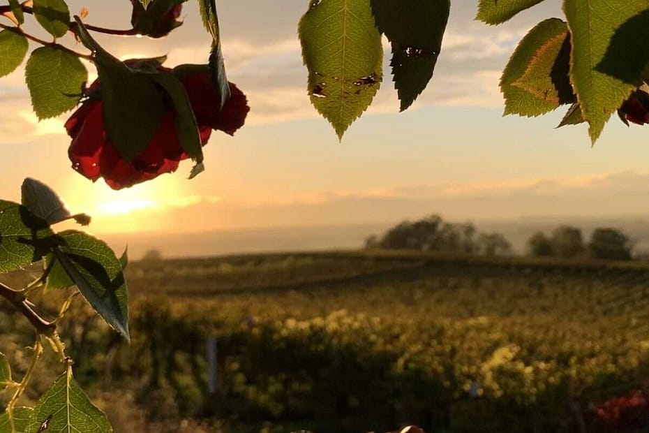 Gedicht: Gegen die Kälte des Winters hilft Liebe. Vielleicht trifft sie uns unerwartet, auf jeden Fall aber wärmt sie uns. Wie der Frühling.
